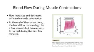 Muscle Blood Flow And Cardiac Output During Exercise Pptx