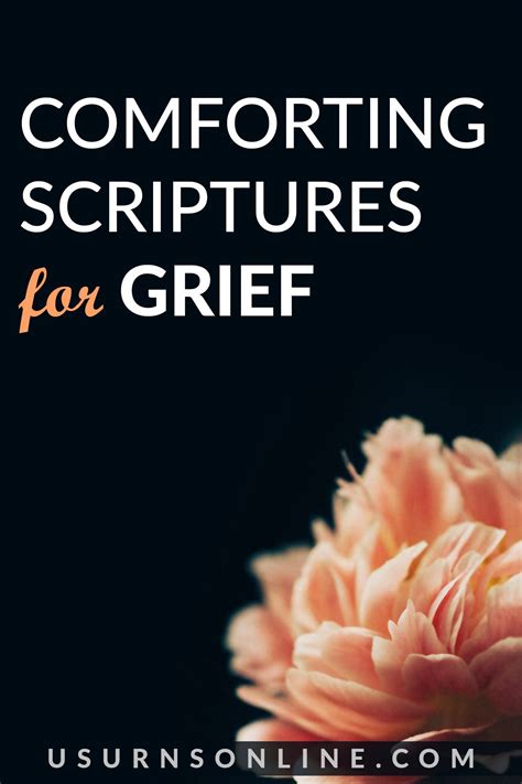 Comforting bible verses for death provide hope for families 3