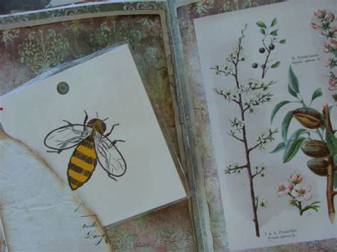 Large Vintage Farmhouse Bumble Bee Flash Card Etsy
