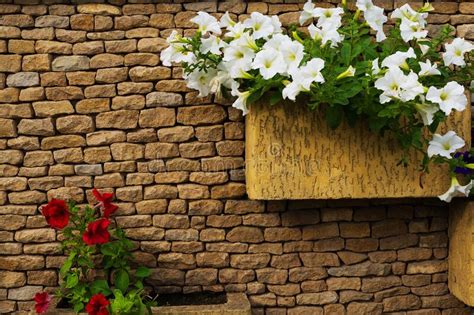 Flores De Petunia Adornan La Cerca De Piedra De Las Mansiones Foto De