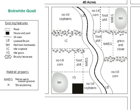 Landowner's Guide: Bobwhite Quail
