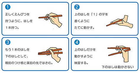 箸の持ち方 Nobulog