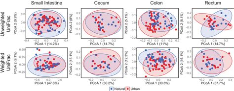 PCoA Plots Of The Gut Microbial Community Along The Gastrointestinal