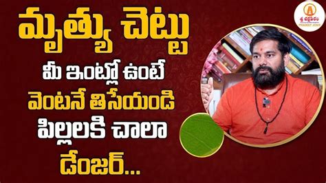 Pradeep Joshi ఈ పలట ఉట మ ఇలల వషపరత Tips In Telugu YouTube