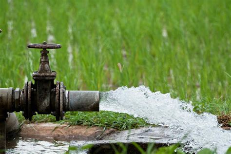 Necesario mejorar la gestión del agua en el mundo FAO