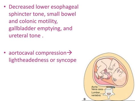 Acute Abdomen In Pregnancy Ppt