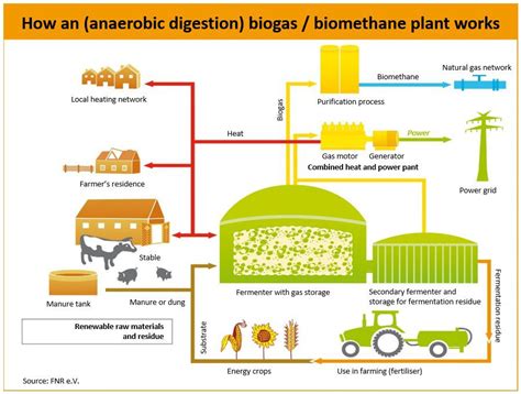 The History And Technology Of Biogas All About Biogas Article 2 Skyline Energy