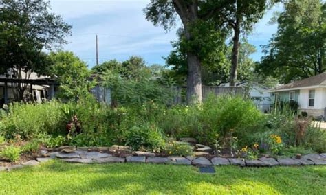 10 Awesome Native Texas Landscaping Ideas Native Backyards