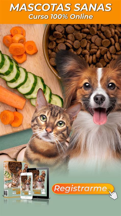 Mascotas Sanas Perros Y Gatos Alimentación Sana Buena Alimentación Mascotas Perros Gatos