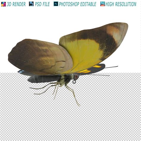 Fichier Psd De Modélisation 3d De Papillon PSD Premium