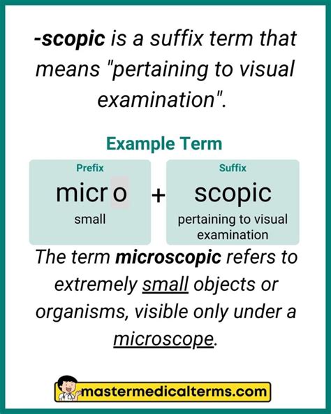 Scopic Scopic Master Medical Terms