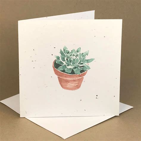 Succulent Plantable Greeting Card Ecostems Torontos Local Eco