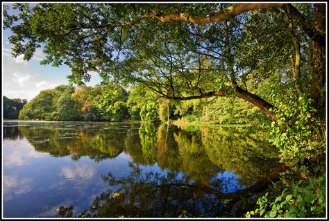 Sfondi Luce Del Sole Alberi Paesaggio Le Foglie Lago Acqua