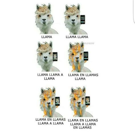 Spanish puns. Llama = animal, llama = call, llama = flame - 9GAG