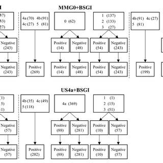 The subgroups of MMG and US (BSGI, breast-specific gamma imaging; MMG ...