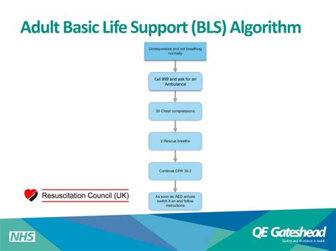 Ppt Basic Life Support Bls Powerpoint Presentation Free Download