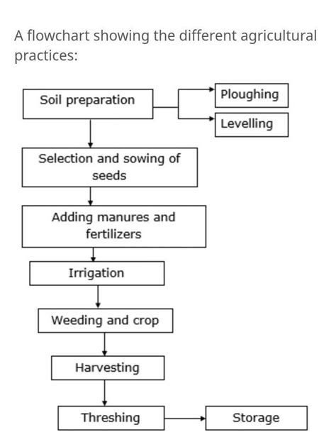 Prepare A Flowchart Showing Various Types Of Agriculture In Geography