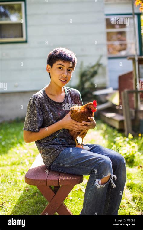 From Small Homemade Structures To Large Elaborate Homes Chicken