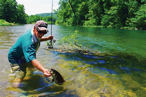 Best Baits For Stream Smallmouths MidWest Outdoors