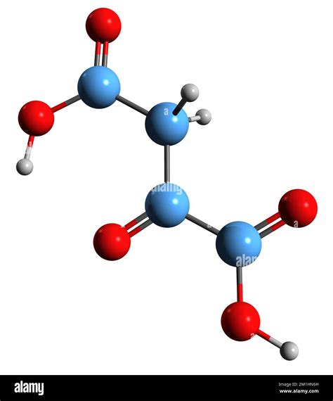 3d Image Of Oxaloacetic Acid Skeletal Formula Molecular Chemical