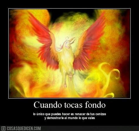 Introducir Imagen Frases De Renacer Como El Ave Fenix Abzlocal Mx