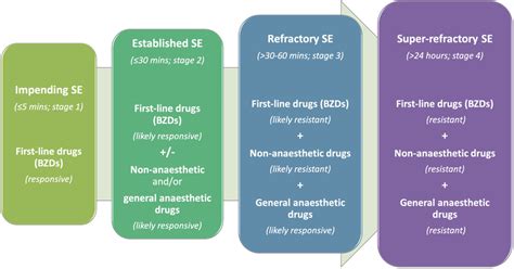 Stages Of Se According To Time And Responsiveness To Antiseizure