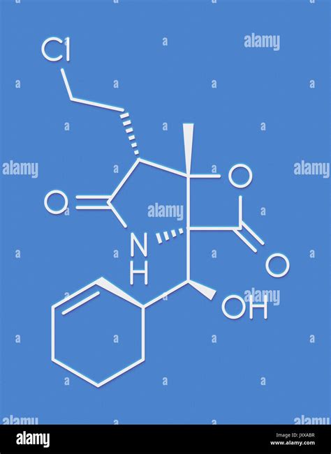 Salinosporamide Marizomib Un Medicamento Contra El C Ncer Mol Cula