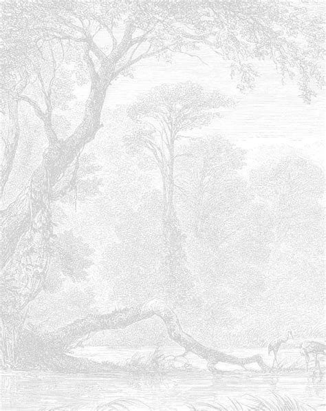 Vintage Forest Wallpaper Mural Mural Wallpaper Forest Wallpaper Mural