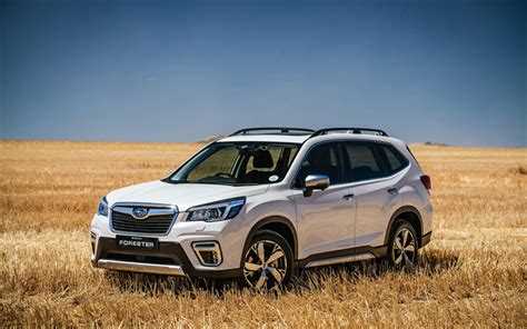 Download Wallpapers Subaru Forester Offroad 2019 Cars Suvs White