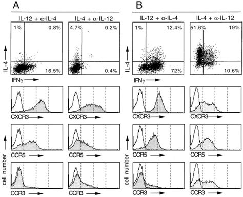 Acquisition Of Cxcr3 Ccr5 And Ccr3 After T Cell Polarization In