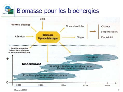 La Biomasse 7 biomasses pour la production de bioénergies et