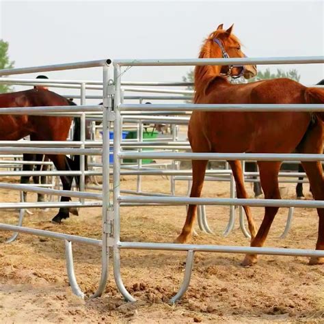 Galvanized Corral Panels Cattle 12 Ft Heavy Duty Livestock Cattle