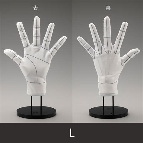 ARTIST SUPPORT ITEM Glove for Hand Model L -Wireframe- | HLJ.com