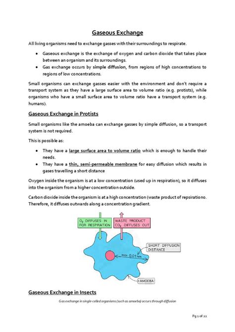 Edexcel Igcse Biology Gaseous Exchange Notes Studylast