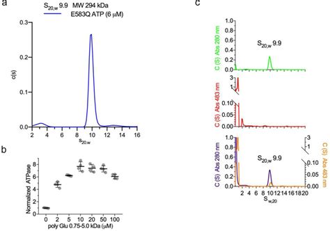 Analytical Ultracentrifugation And Atpase Assays A Auc Experimental