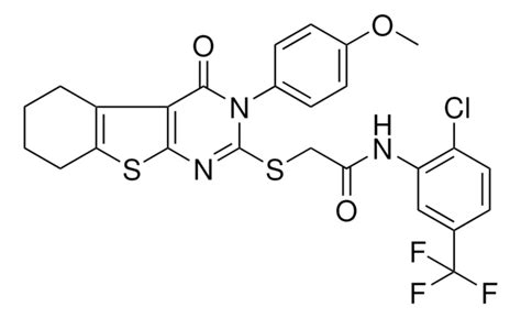 N 2 CHLORO 5 TRIFLUOROMETHYL PHENYL 2 3 4 METHOXYPHENYL 4 OXO 3