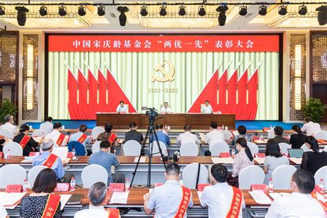 中国宋庆龄基金会召开“两优一先”表彰大会共产党员网