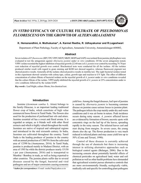 PDF IN VITRO EFFICACY OF CULTURE FILTRATE OF PSEUDOMONAS FLUORESCENS