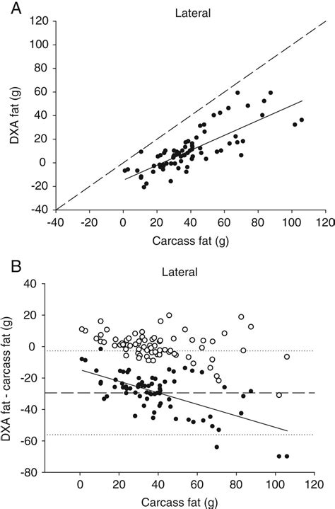 A Relationship Between Carcass Fat And Dual Energy X Ray Download Scientific Diagram