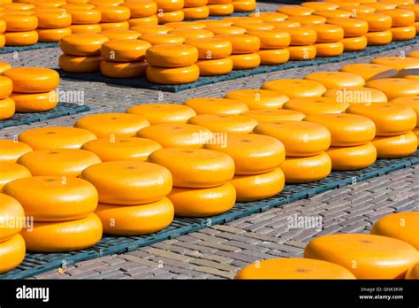 Traditional Wheels Of Gouda Cheese On Display On Cobblestones At