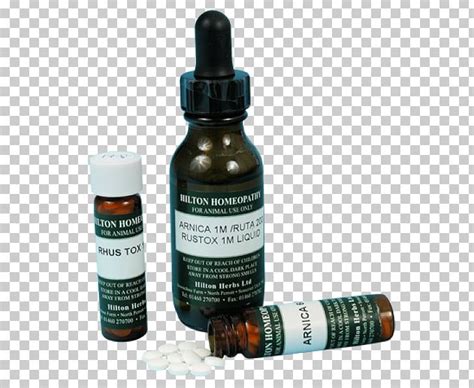 Mountain Arnica Homeopathy Hom Opathisches Arzneimittel Poison Ivy