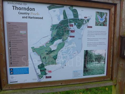 Thorndon Country Park Warmley Brentwood Essex See Around Britain