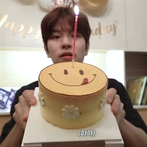 Skz Vlog Seungmin Mini S Minilog Creative Cake Decorating