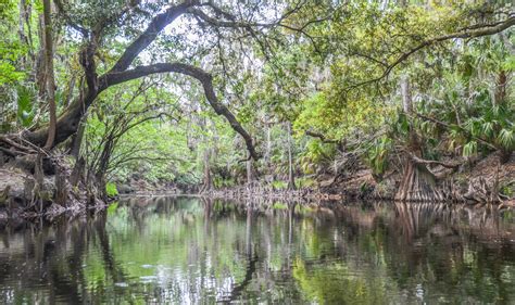 Florida Paddle Notes | Alafia River