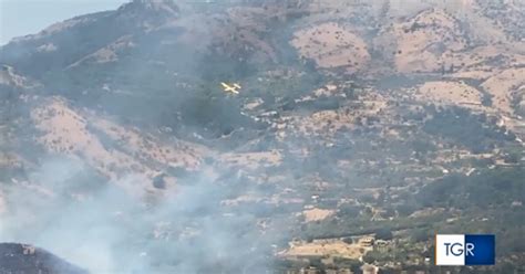 Incendi In Sicilia Dall Inizio Del 2020 Bruciati 2700 Ettari Di Verde