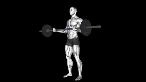 Wide Grip Barbell Curl How To Video Alternatives More