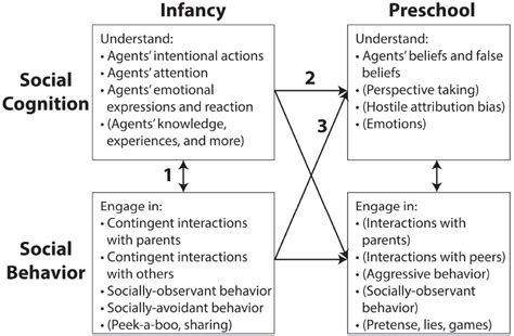 Frontiers Developmental Pathways For Social Understanding Linking