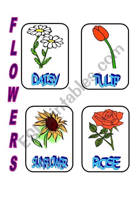 Flowers 1 Esl Worksheet By Shikz