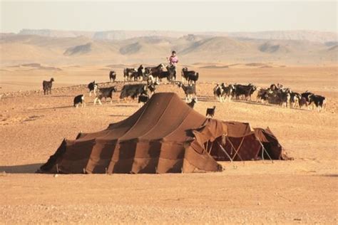 Traditional Camel Hair Bedouin Tents For Sale