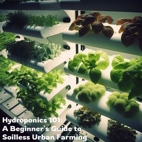 Hydroponics 101: A Beginner's Guide to Soilless Urban Farming - Agricultivity